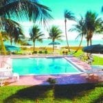 article image -